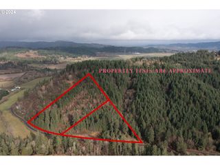 Nw Williams Canyon Rd, Gaston, OR 97119