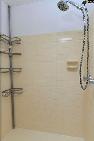 257 Brookspring Road, Columbia, SC 29223