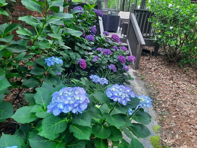 257 Brookspring Road, Columbia, SC 29223