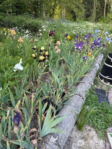 193 Springwater Lane, Sequim, WA 98382