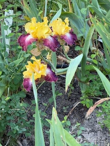 193 Springwater Lane, Sequim, WA 98382