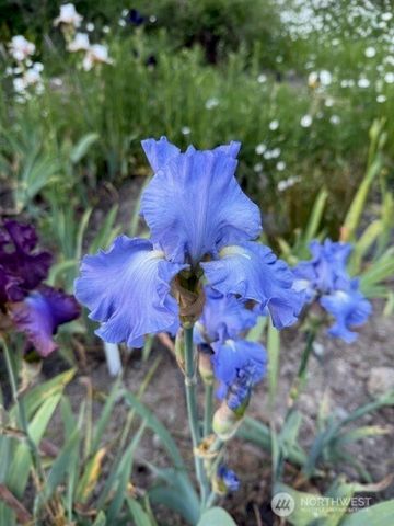 193 Springwater Lane, Sequim, WA 98382