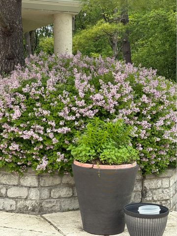 2705 Bentley Road, Highland Park, IL 60035