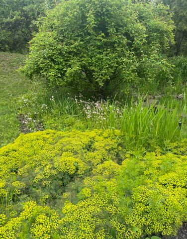 2705 Bentley Road, Highland Park, IL 60035