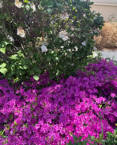 2705 Bentley Road, Highland Park, IL 60035