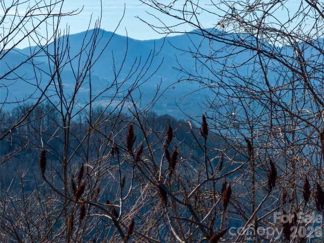 5 Soaring Hawk View 14, Asheville, NC 28804