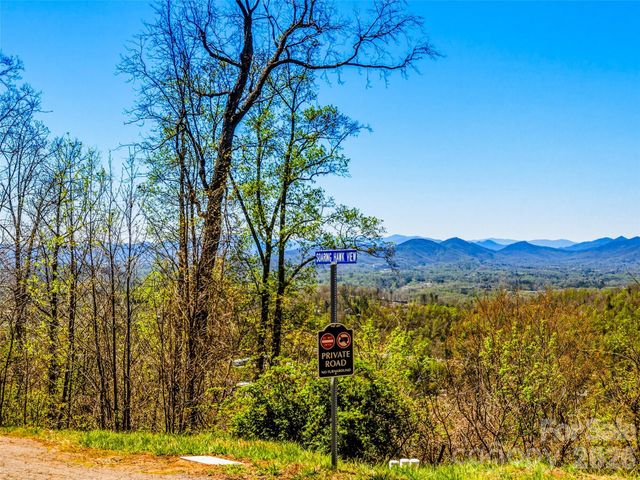 5 Soaring Hawk View 14, Asheville, NC 28804