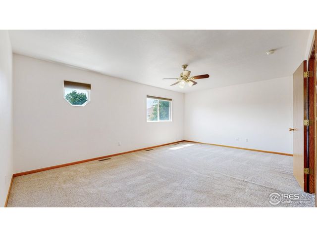 713 Apple Ct, Windsor, CO 80550