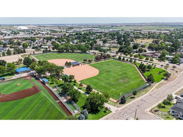 713 Apple Ct, Windsor, CO 80550