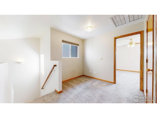 713 Apple Ct, Windsor, CO 80550