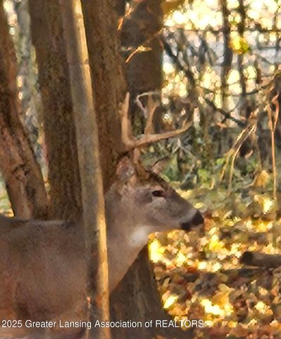 138 Canterbury Drive, Charlotte, MI 48813