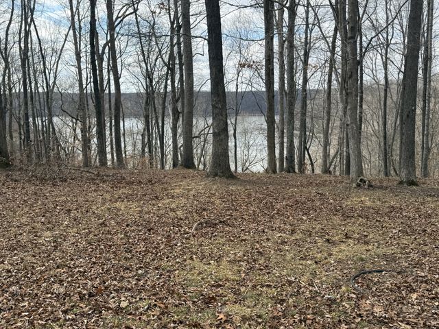 0 Flora Ln, Manchester, TN 37355