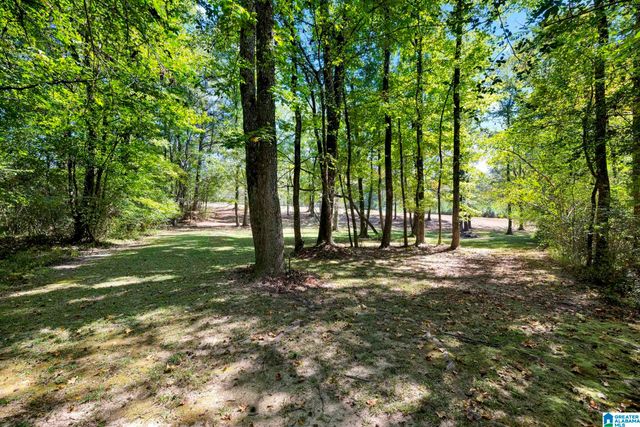 9152 BRADFORD TRAFFORD ROAD, Pinson, AL 35126