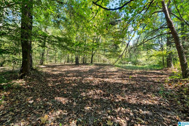 9152 BRADFORD TRAFFORD ROAD, Pinson, AL 35126
