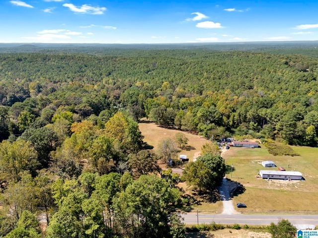 9152 BRADFORD TRAFFORD ROAD, Pinson, AL 35126
