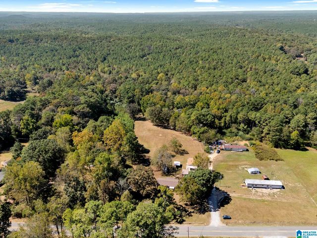 9152 BRADFORD TRAFFORD ROAD, Pinson, AL 35126