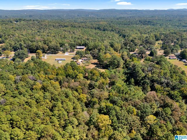 9152 BRADFORD TRAFFORD ROAD, Pinson, AL 35126