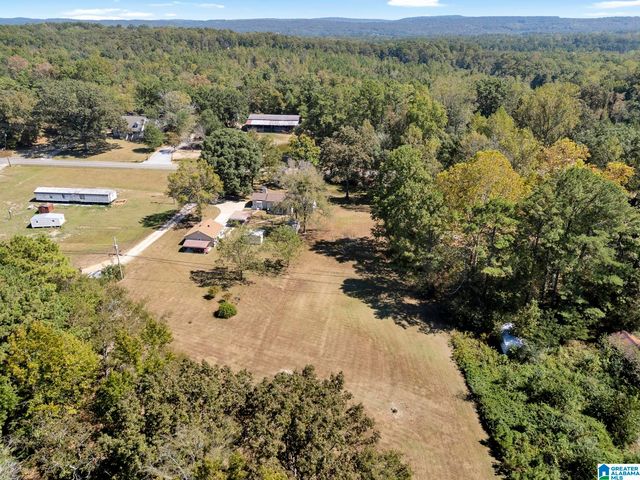 9152 BRADFORD TRAFFORD ROAD, Pinson, AL 35126