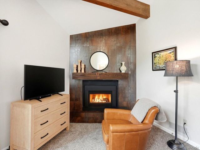 6081 Silver Thorn Run, Littleton, CO 80125