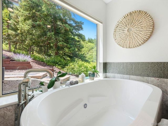 6081 Silver Thorn Run, Littleton, CO 80125