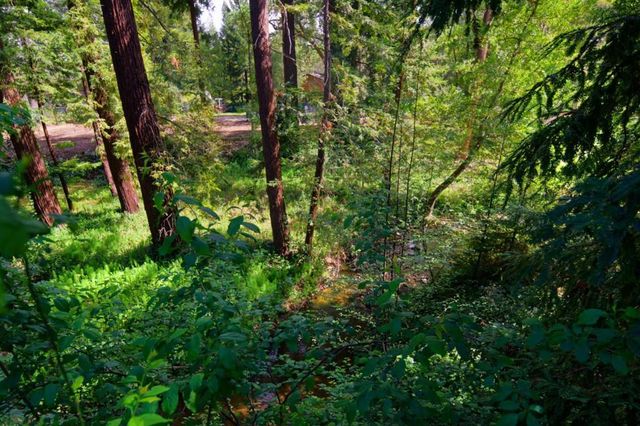 340 Willowbrook Drive, Portola Valley, CA 94028