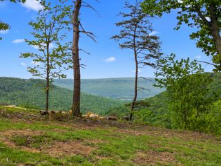 235 Pine Knot Pass, Kimball, TN 37347