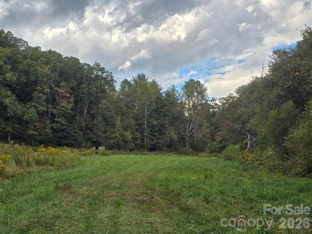 000 Cook Lane 24.87 Acres, Mills River, NC 28759