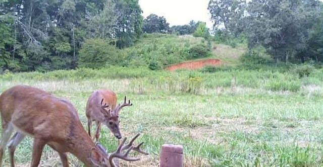 000 Cook Lane 24.87 Acres, Mills River, NC 28759
