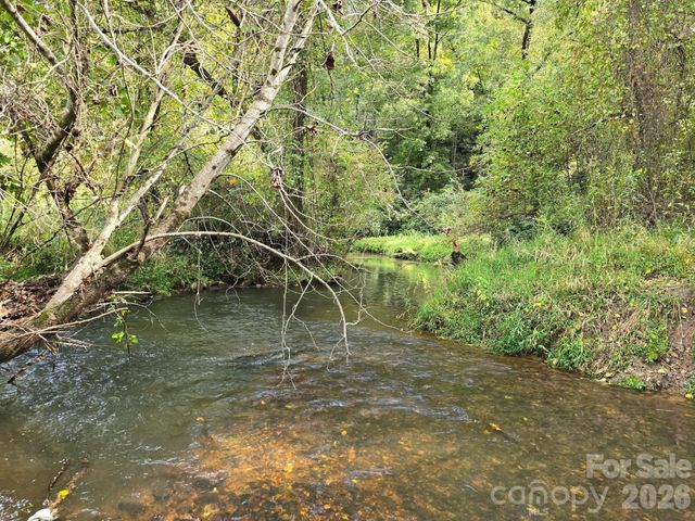 000 Cook Lane 24.87 Acres, Mills River, NC 28759