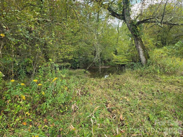 000 Cook Lane 24.87 Acres, Mills River, NC 28759