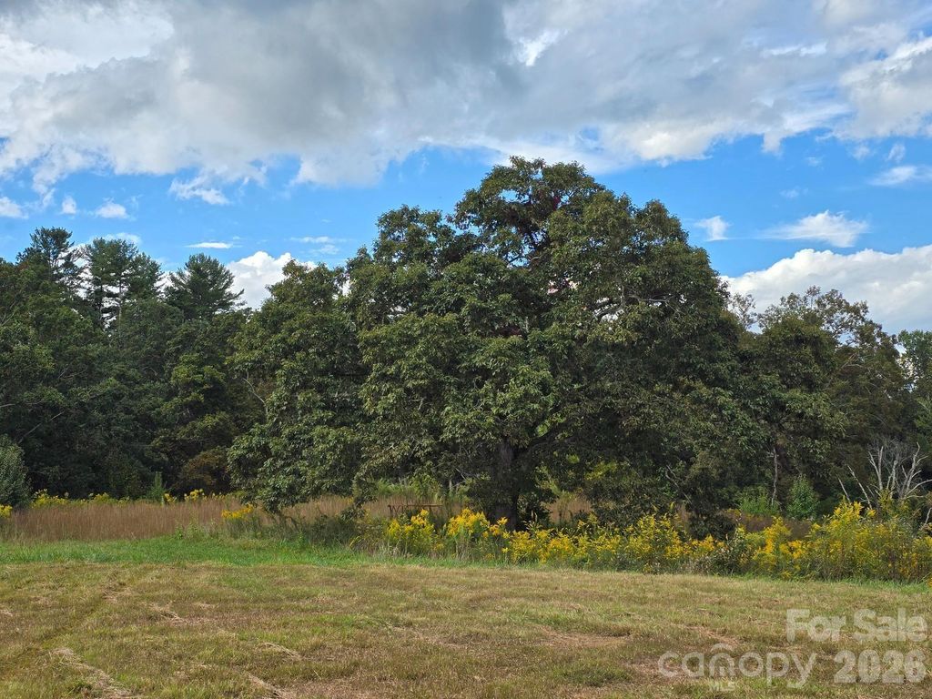 000 Cook Lane 24.87 Acres, Mills River, NC 28759