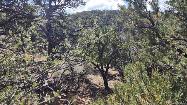 5039 Mamouche Road, Fort Garland, CO 81133