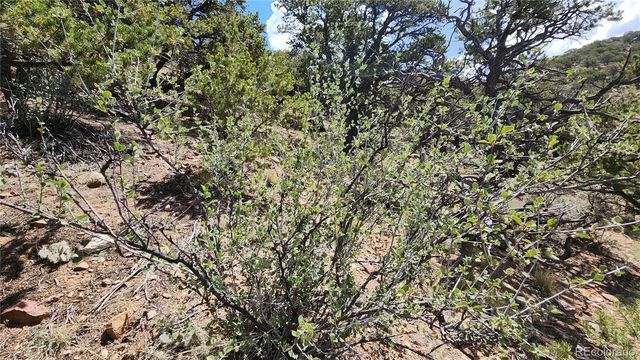 5039 Mamouche Road, Fort Garland, CO 81133