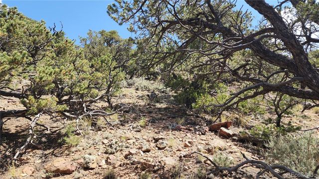 5039 Mamouche Road, Fort Garland, CO 81133