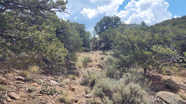 5039 Mamouche Road, Fort Garland, CO 81133