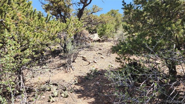 5039 Mamouche Road, Fort Garland, CO 81133