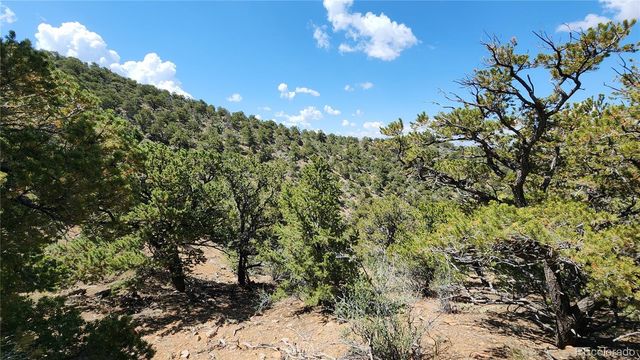 5039 Mamouche Road, Fort Garland, CO 81133