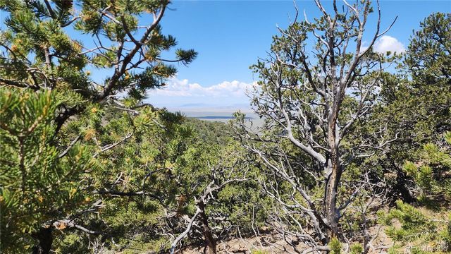 5039 Mamouche Road, Fort Garland, CO 81133