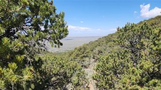 5039 Mamouche Road, Fort Garland, CO 81133