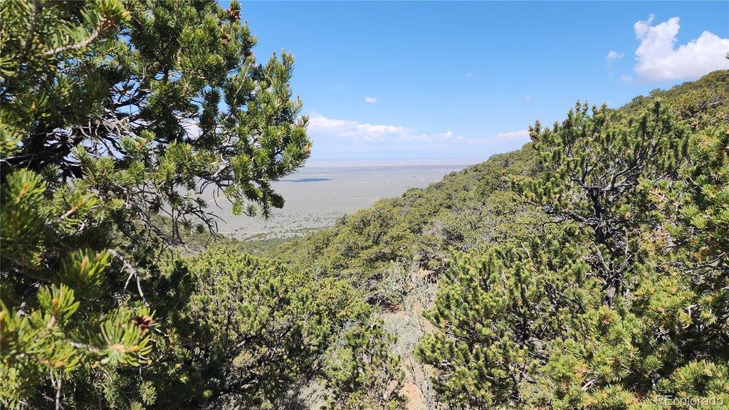 5039 Mamouche Road, Fort Garland, CO 81133