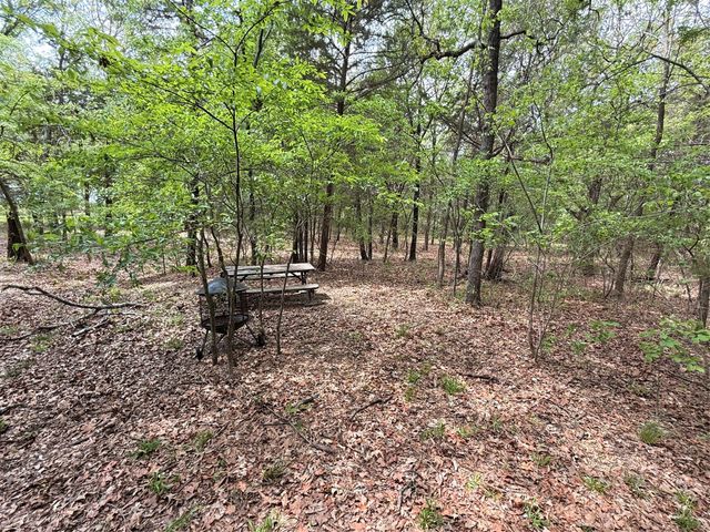 6435 FM 17 LOTS 68-77, Yantis, TX 75497