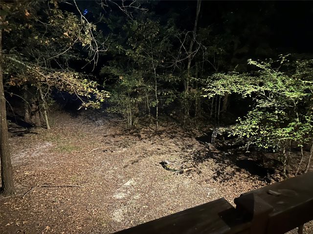 6435 FM 17 LOTS 68-77, Yantis, TX 75497