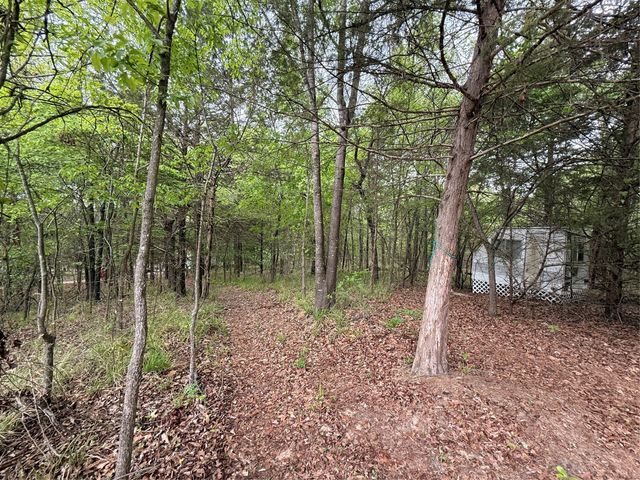 6435 FM 17 LOTS 68-77, Yantis, TX 75497