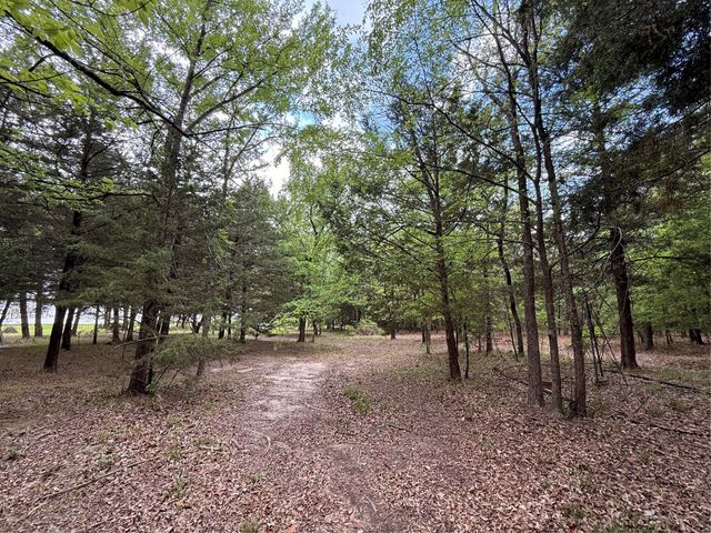 6435 FM 17 LOTS 68-77, Yantis, TX 75497