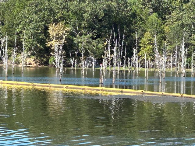 6435 FM 17 LOTS 68-77, Yantis, TX 75497