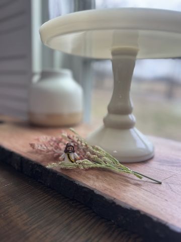 1251 Smith Thompson Rd, Bethpage, TN 37022