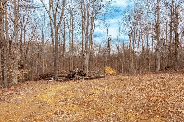 1251 Smith Thompson Rd, Bethpage, TN 37022