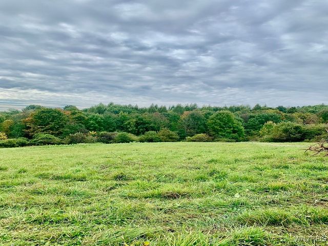 10473 Handcock Road, Centerville, NY 14735