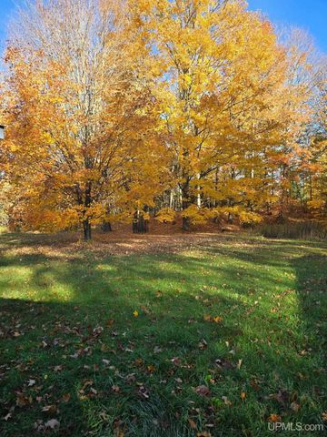 3712 E 26th Road, Chatham, MI 49816