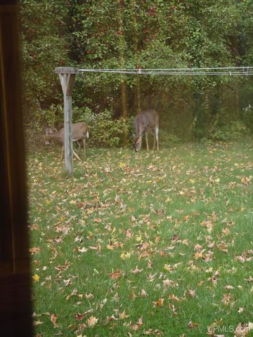 3712 E 26th Road, Chatham, MI 49816